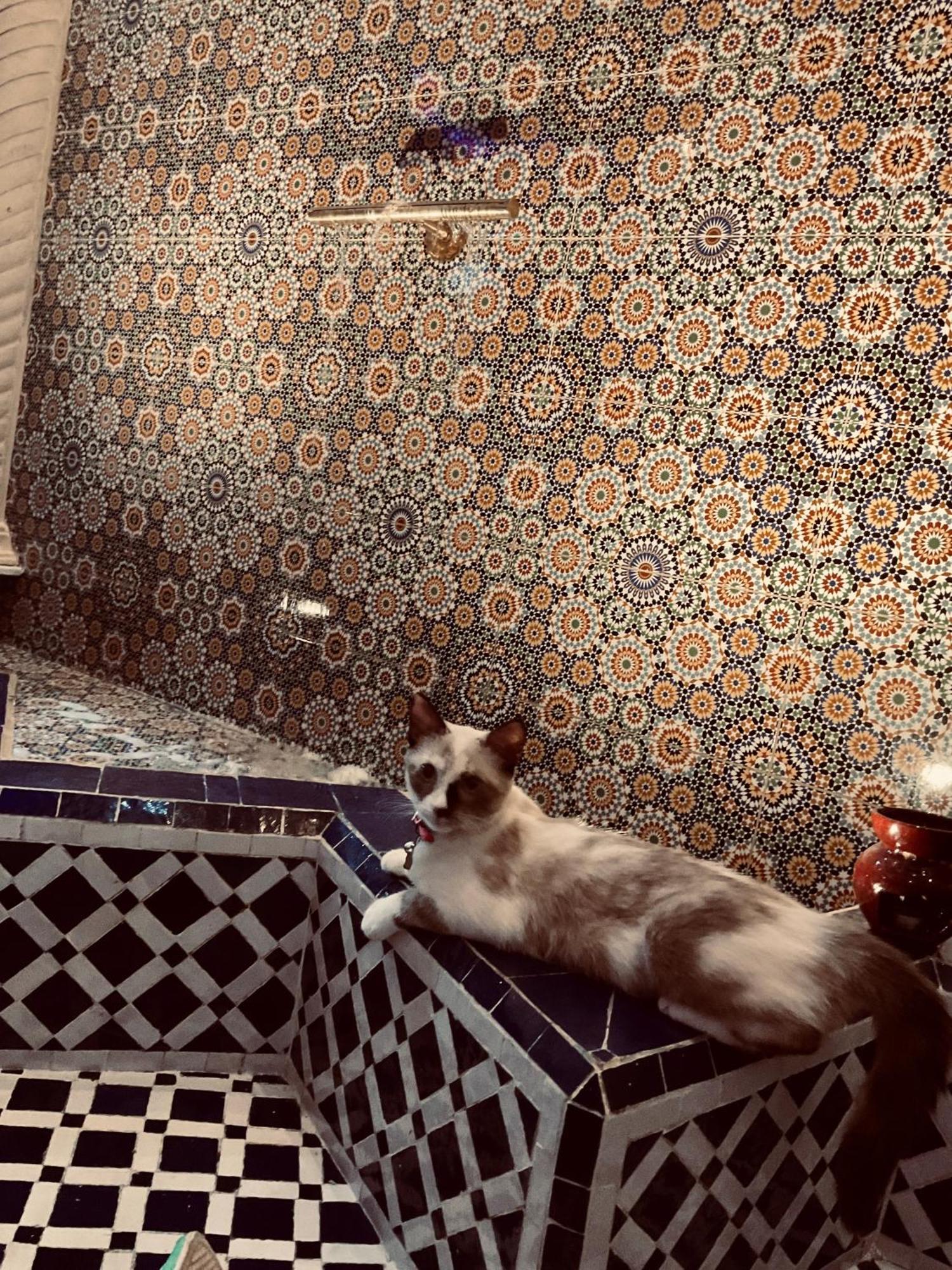 Riad Lalla Merieme มาร์ราเกช ภายนอก รูปภาพ